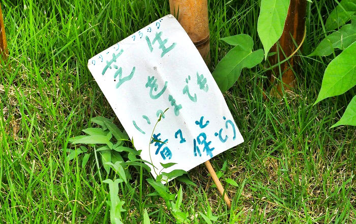 大日寺跡の芝生、看板