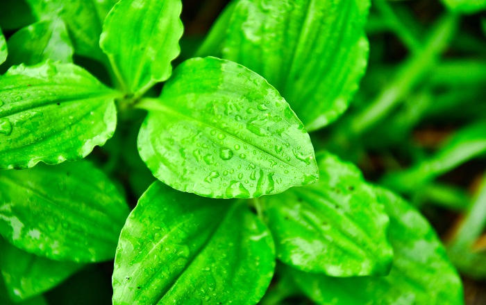 8月16日も雨の一日