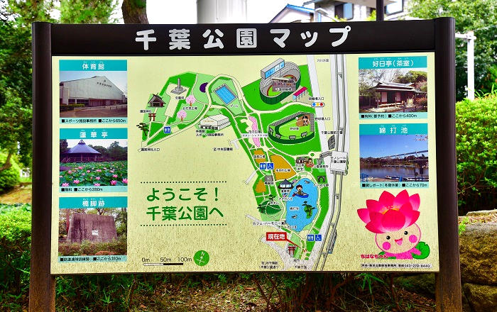 千葉公園内に建てられている園内マップ