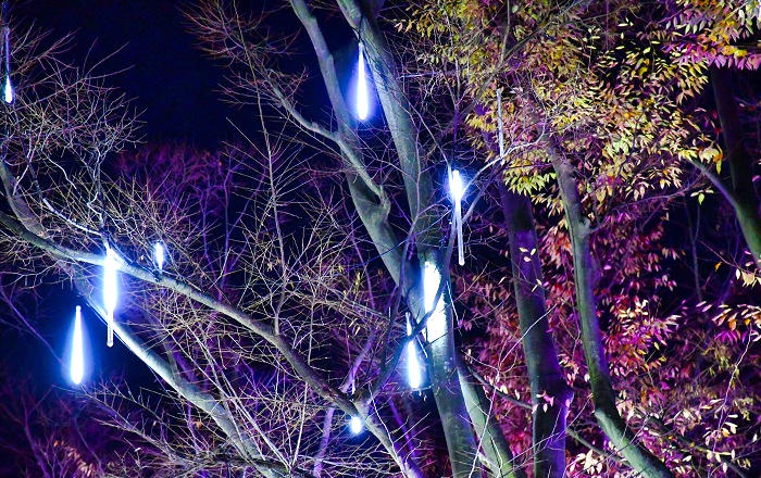 千葉市中央公園のイルミネーション灯