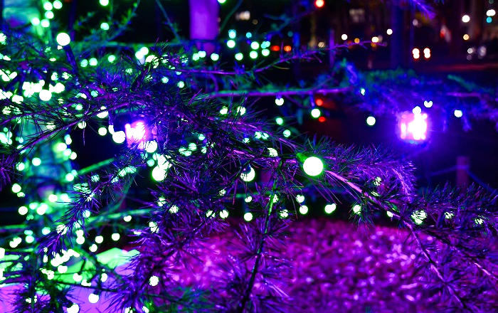 千葉市中央公園のクリスマスツリー内部の照明