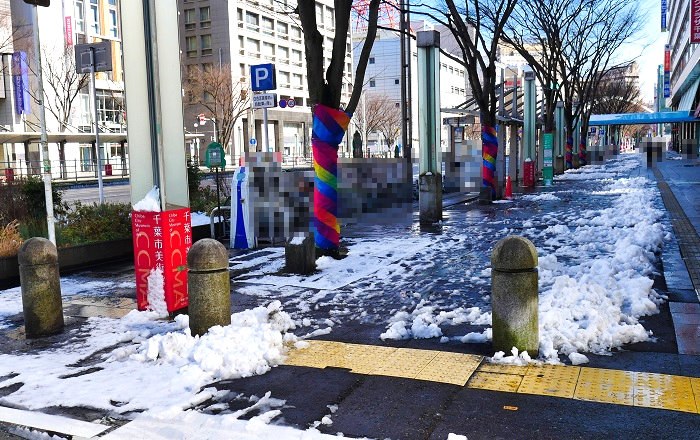 千葉市内2月11日の残雪2（2022年2月11日撮影）