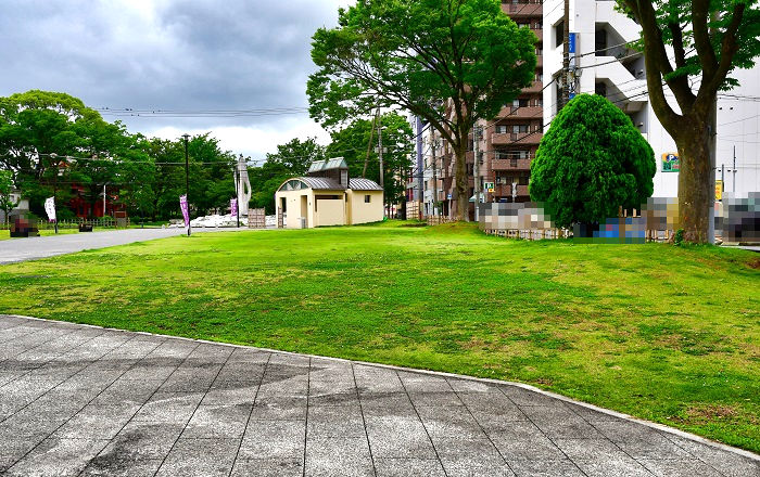 通町公園の芝（2022年6月7日撮影）