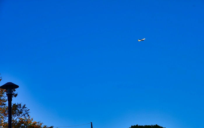 通町公園の上空を飛ぶ旅客機