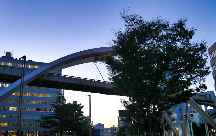 千葉市中央公園の夕方の様子（2023年9月1日撮影）